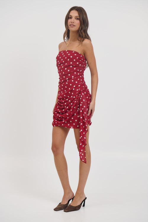 Charley Mini Dress Wine - FINAL SALE