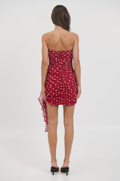 Charley Mini Dress Wine - FINAL SALE