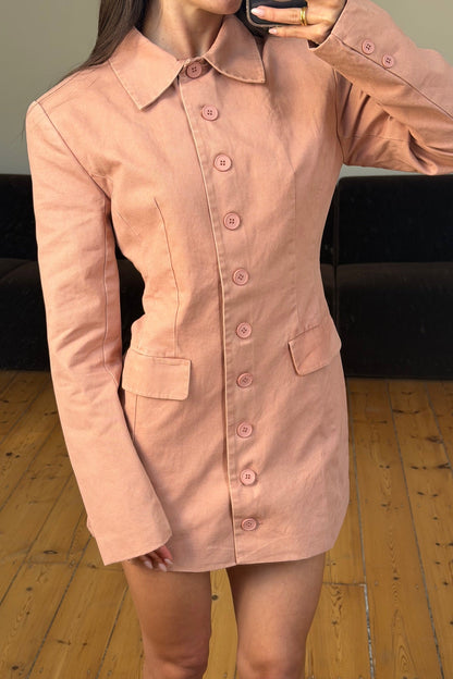 Cheri Mini Dress Rose