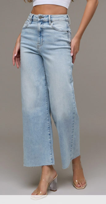 (SALE) HIDDEN High Rise Light Wash Denim Jeans (Elisa)