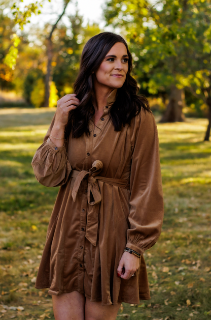 (SALE) Golden Hour Velvet Dress