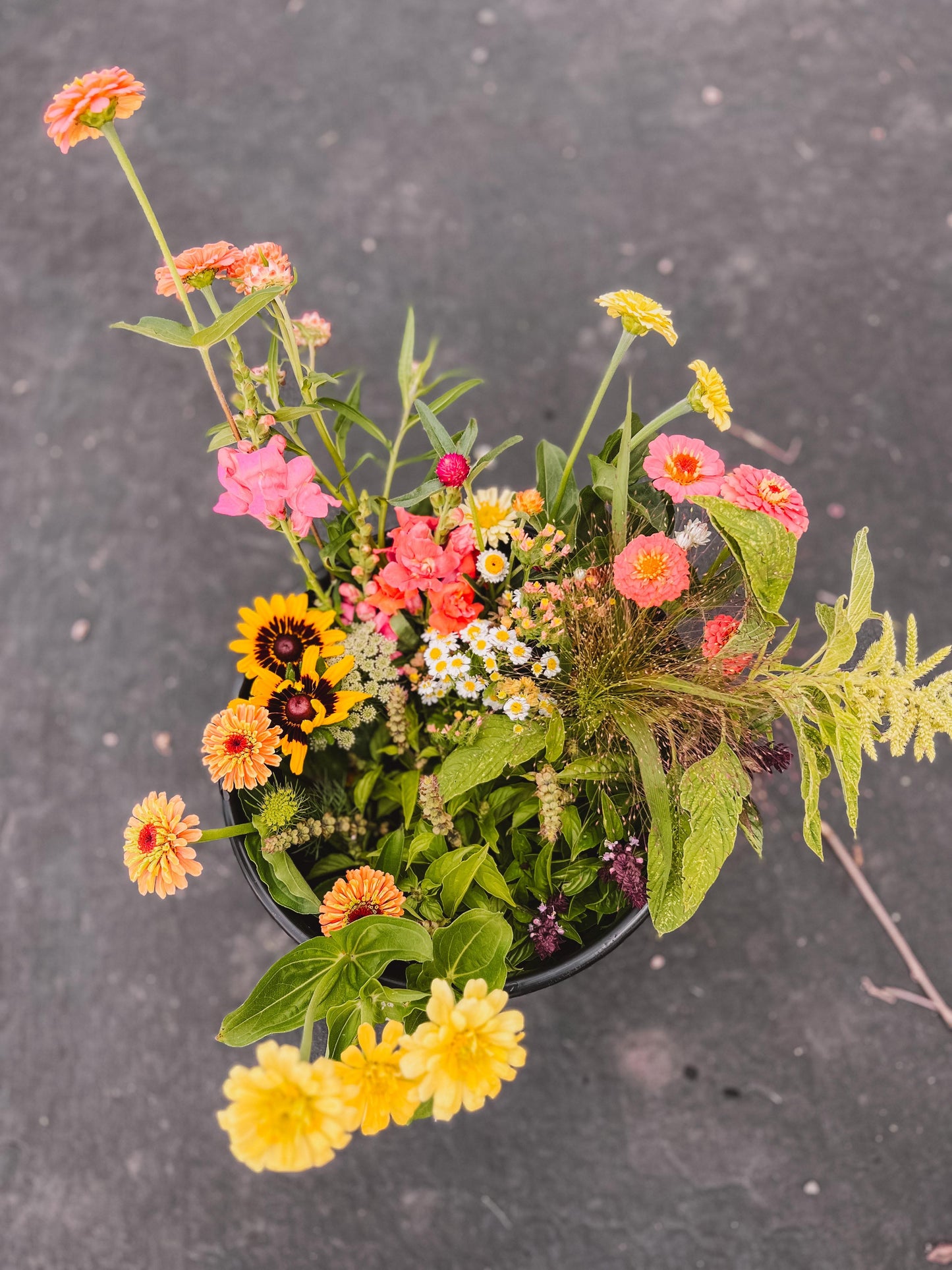 Take Home Bucket Of Blooms